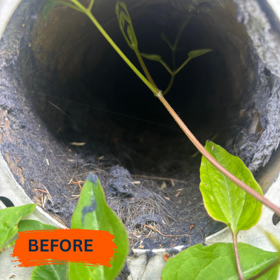 Dryer Vent Cleaning Dryer Vent Cleaning